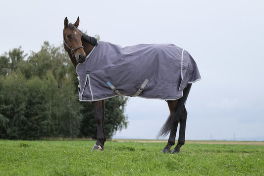 EQUITHEME 'TYREX 1200D' Recycled Turnout Hästtäcke Taupe 50g