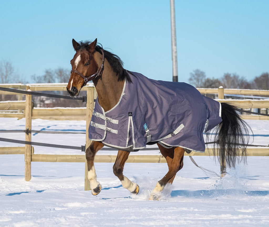 EQUITHEME 'TYREX 1200D' Recycled Turnout Hästtäcke Taupe 300 g