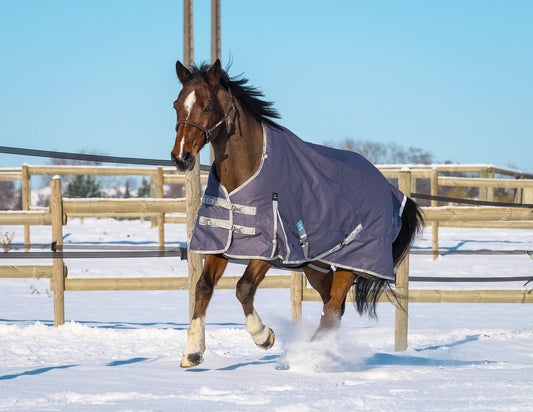 EQUITHEME 'TYREX 1200D' Recycled Turnout Hästtäcke Taupe 300 g