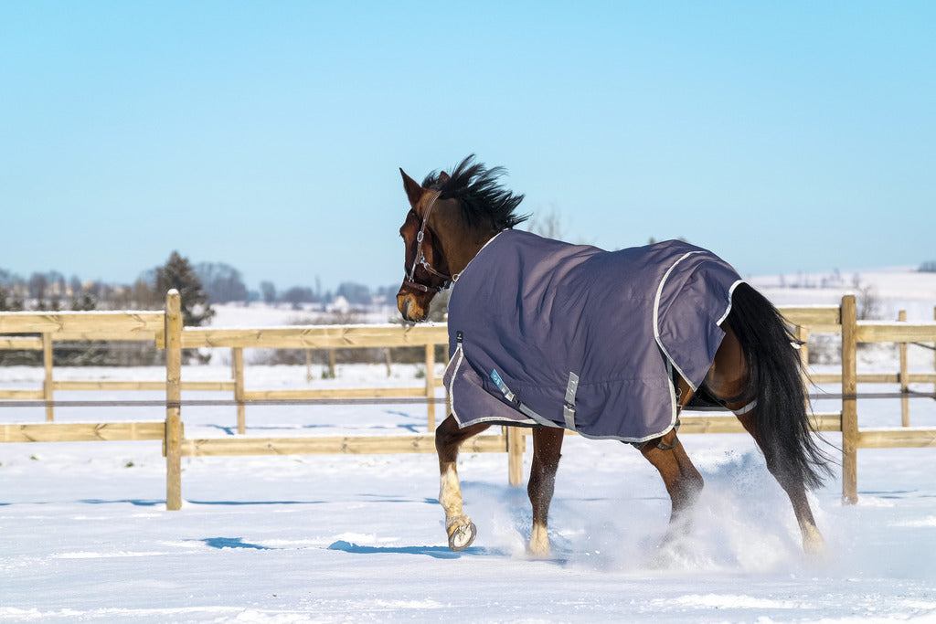 EQUITHEME 'TYREX 1200D' Recycled Turnout Hästtäcke Taupe 300 g