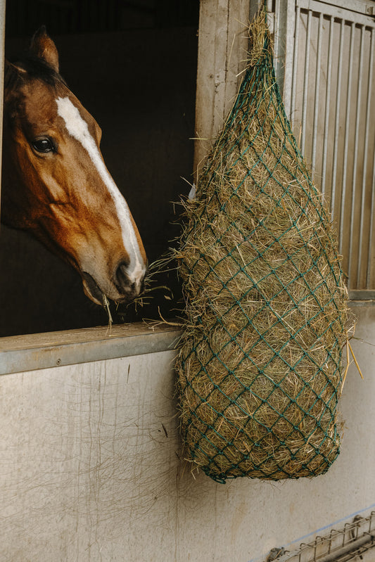 HIPPOTONIC Långt Hönät Grön