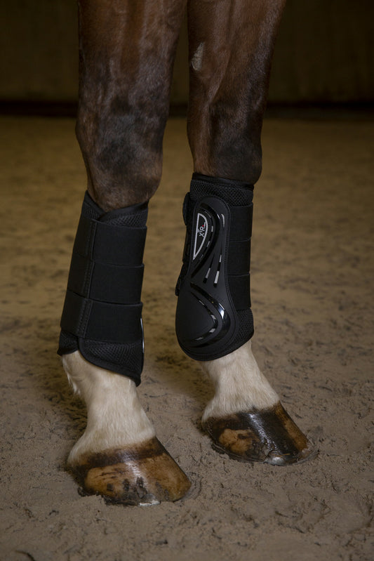 NORTON XTR Closed Benskydd Häst Svart