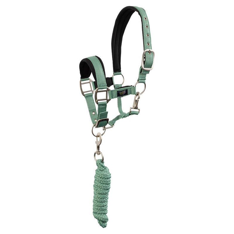 BR Mini Horse Halter with Lead Rope
