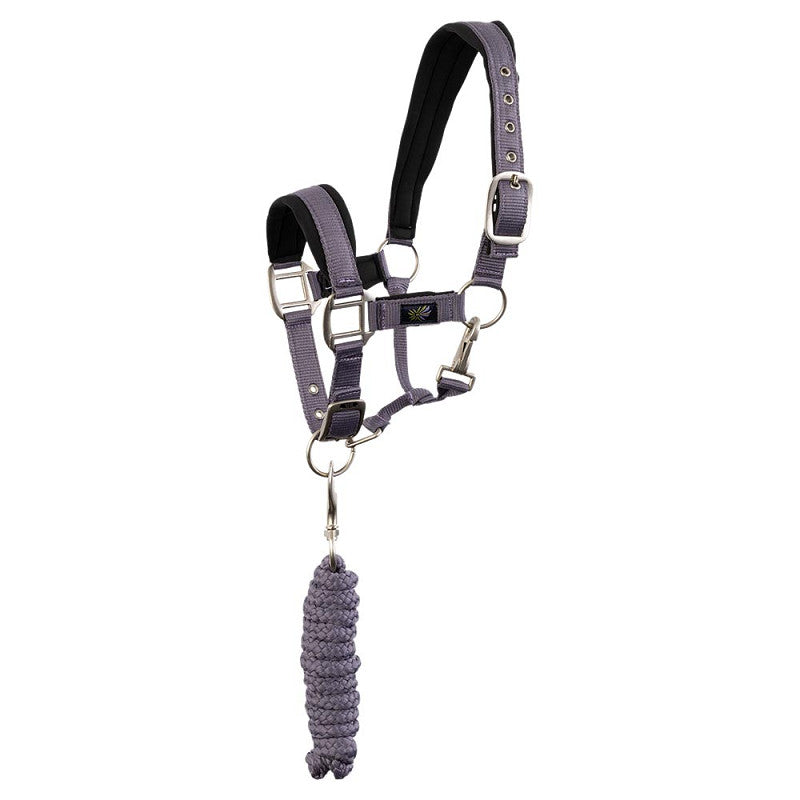 BR Mini Horse Halter with Lead Rope
