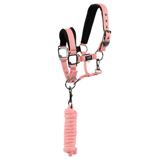 BR Mini Horse Halter with Lead Rope