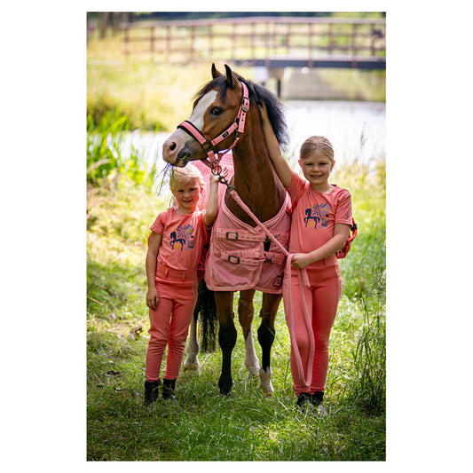 BR Mini Horse Halter with Lead Rope