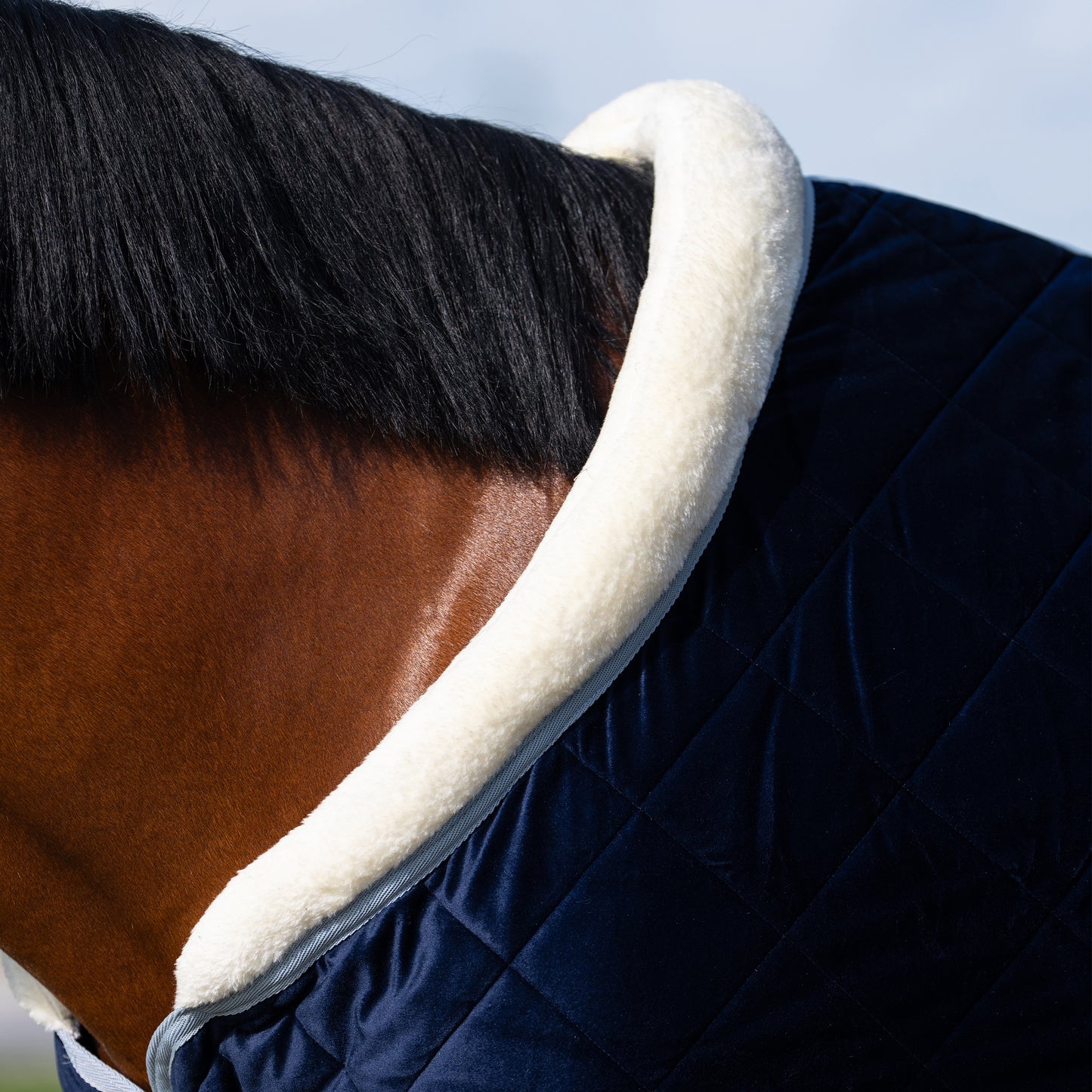 HV Polo HVP-Sacha Stalltäcke, Navy