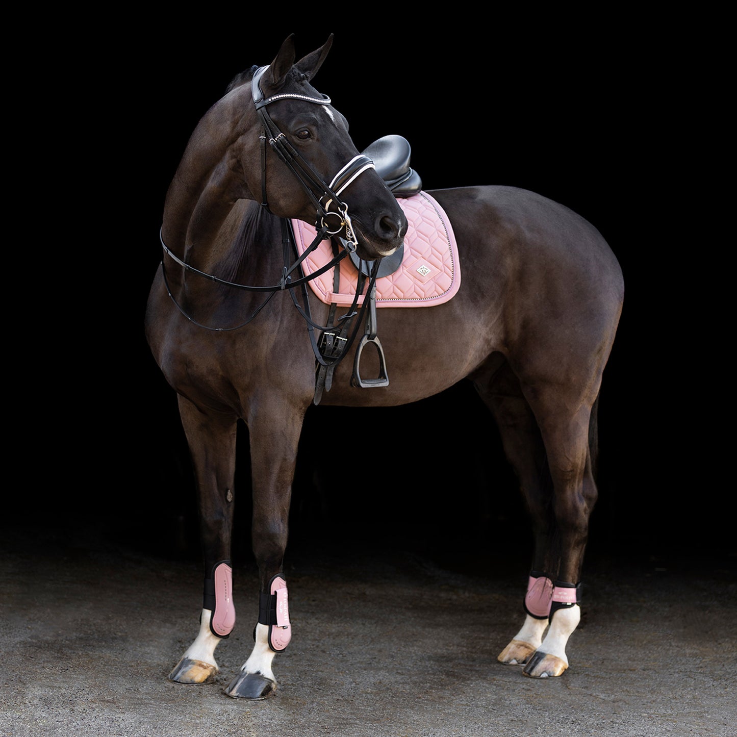HVPolo Sen + Kotskydd HVPClassic