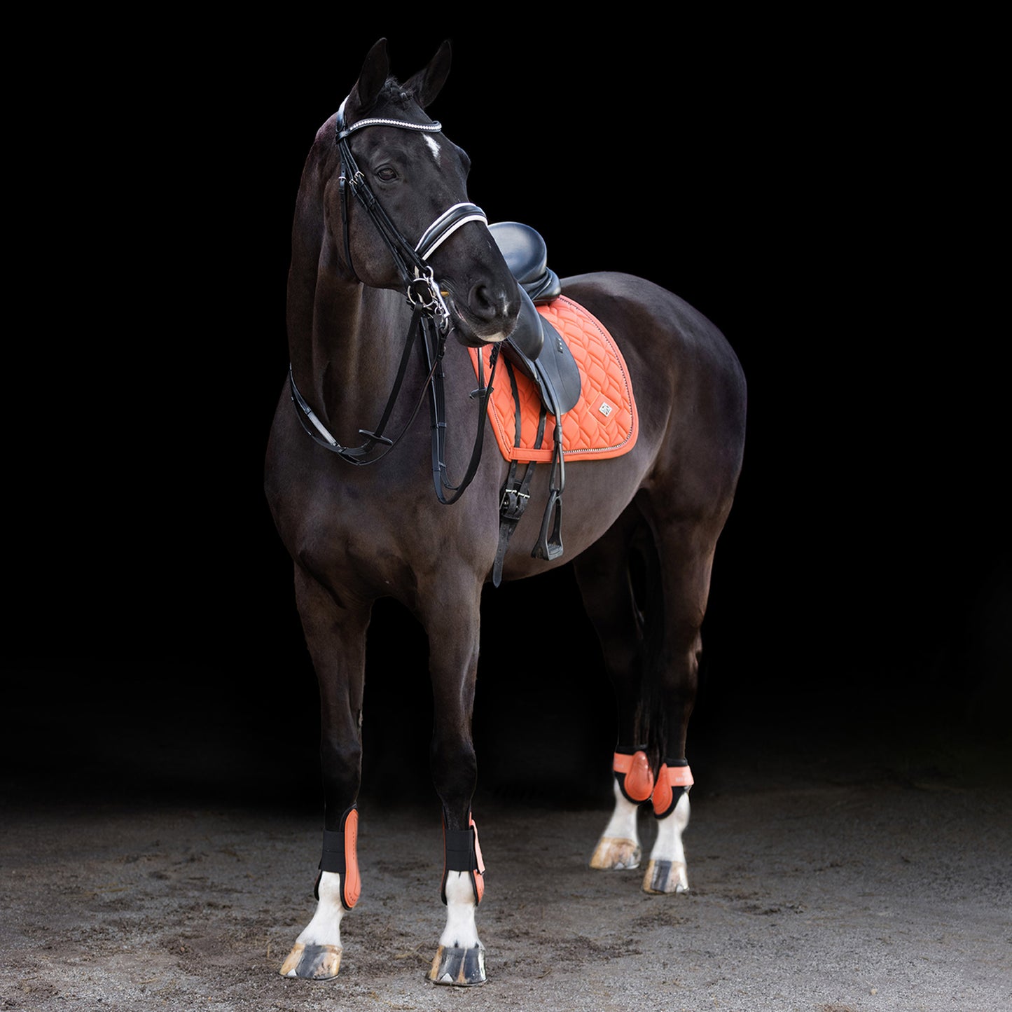 HVPolo Sen + Kotskydd HVPClassic