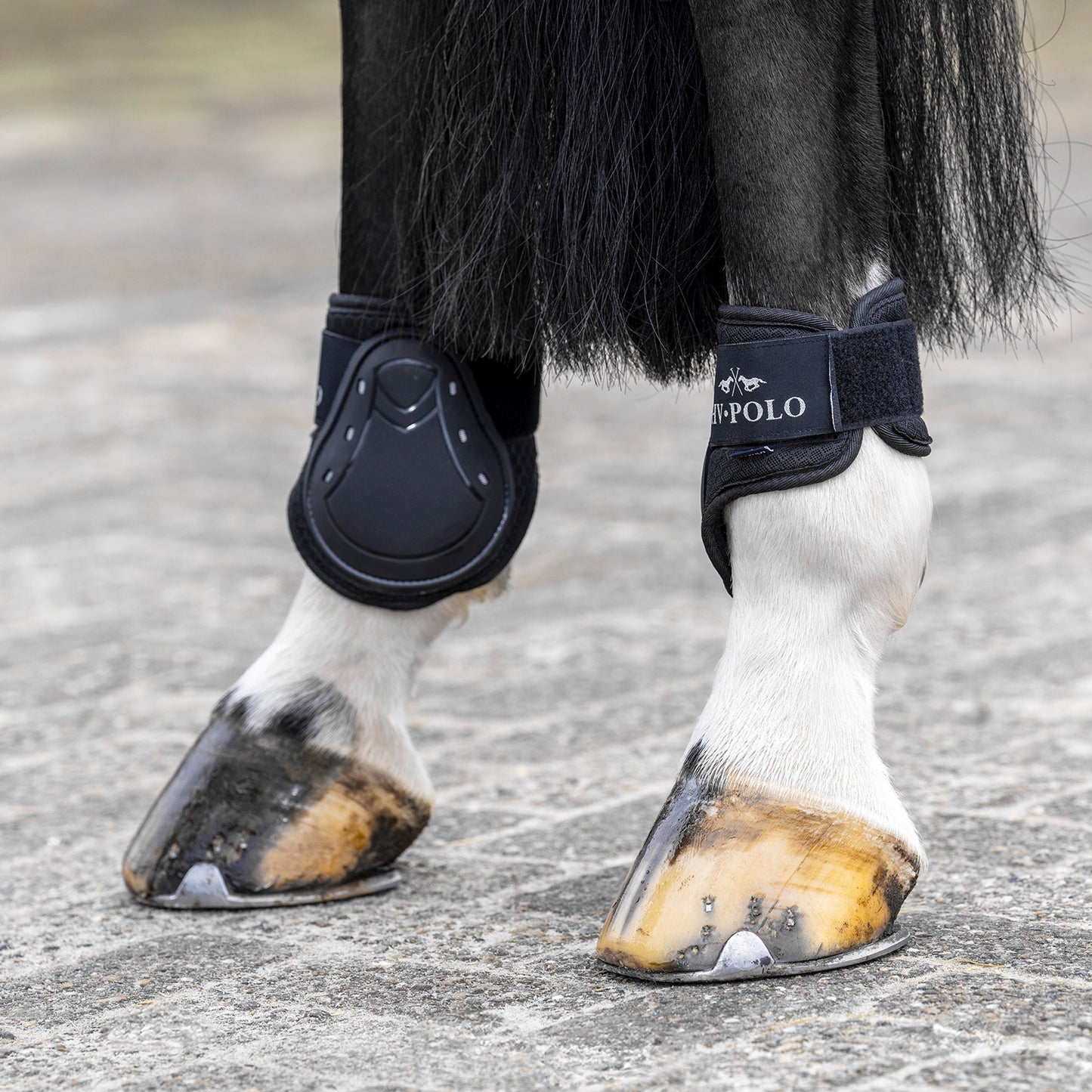 HVPolo Sen + Kotskydd HVPClassic