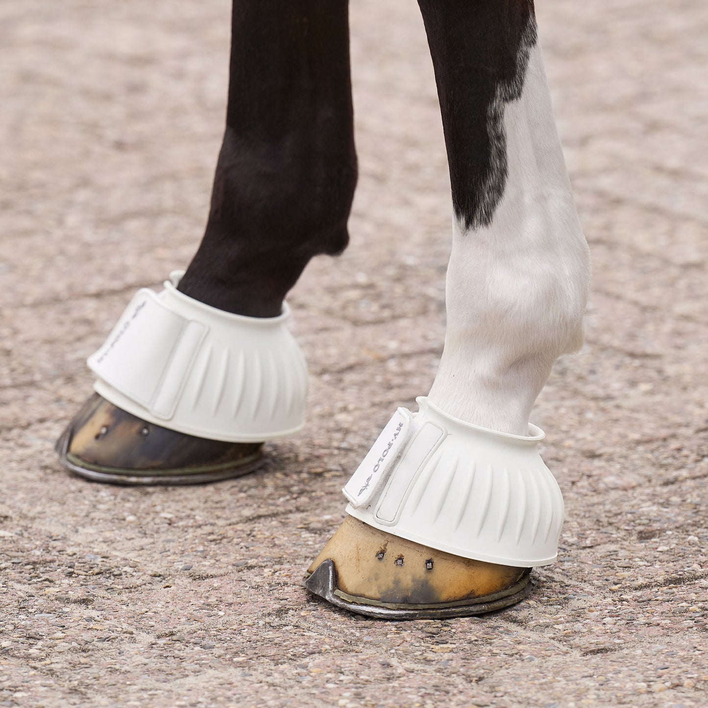 HVPolo Essential Gummiboots - Flera färger