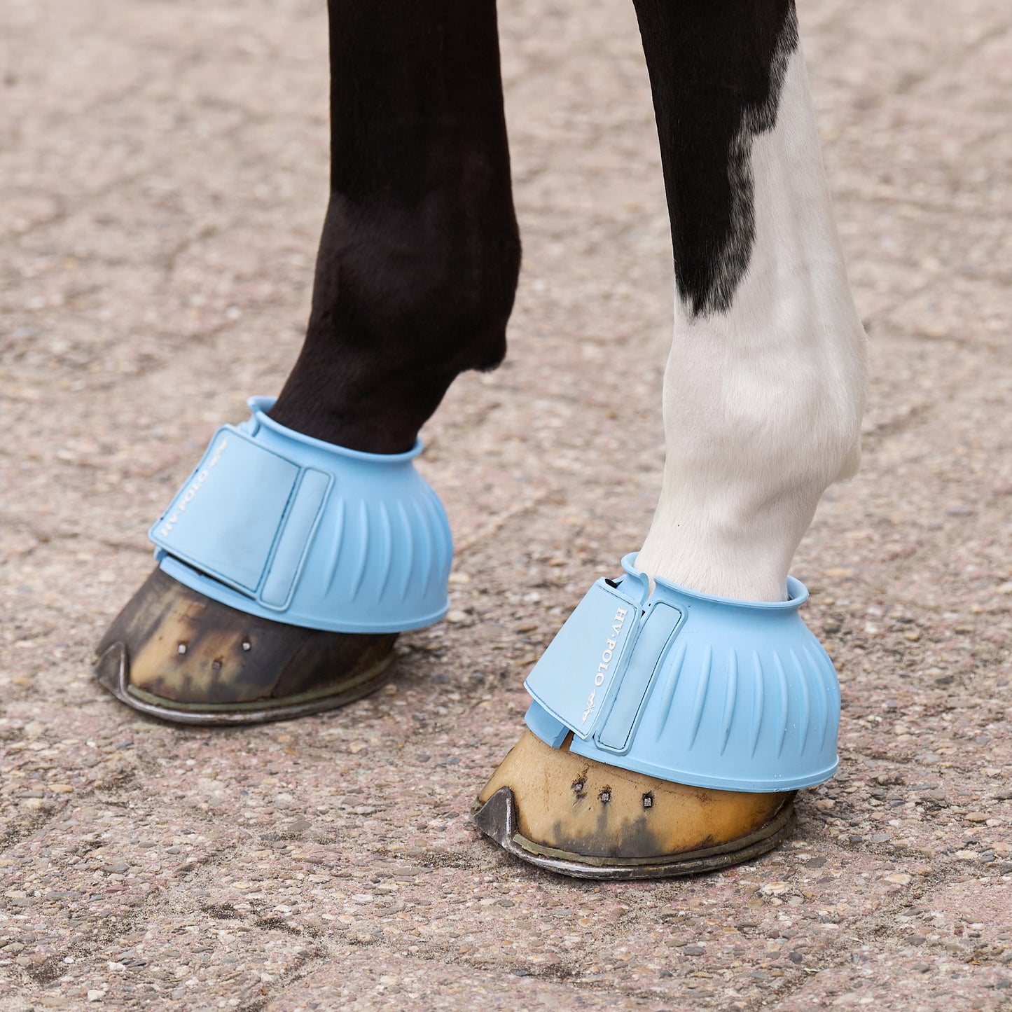 HVPolo Essential Gummiboots - Flera färger