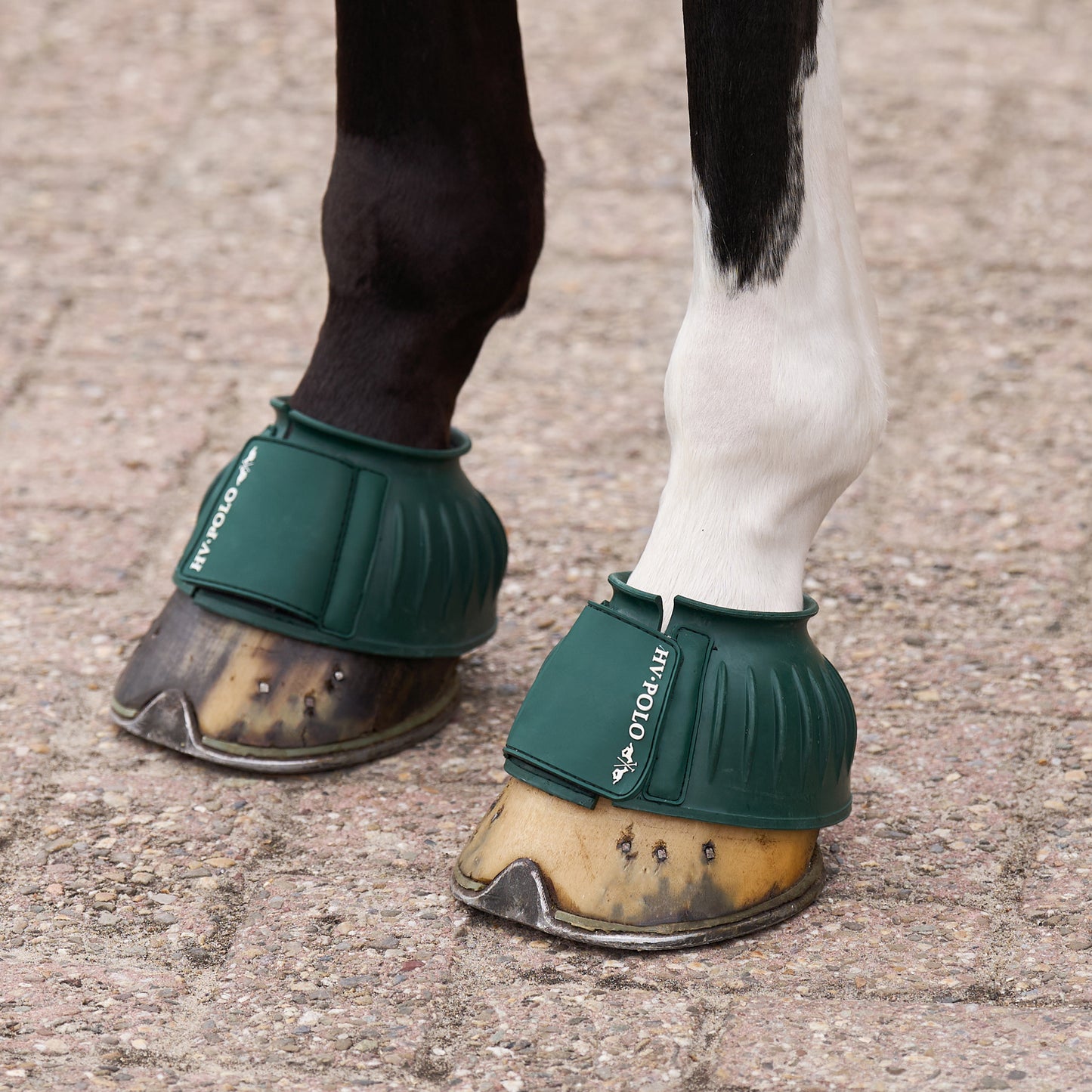 HVPolo Essential Gummiboots - Flera färger