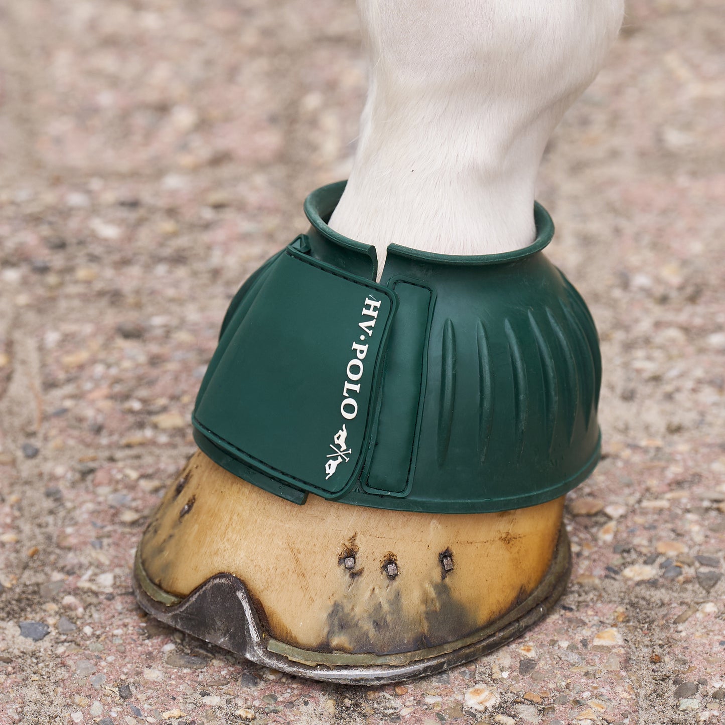 HVPolo Essential Gummiboots - Flera färger