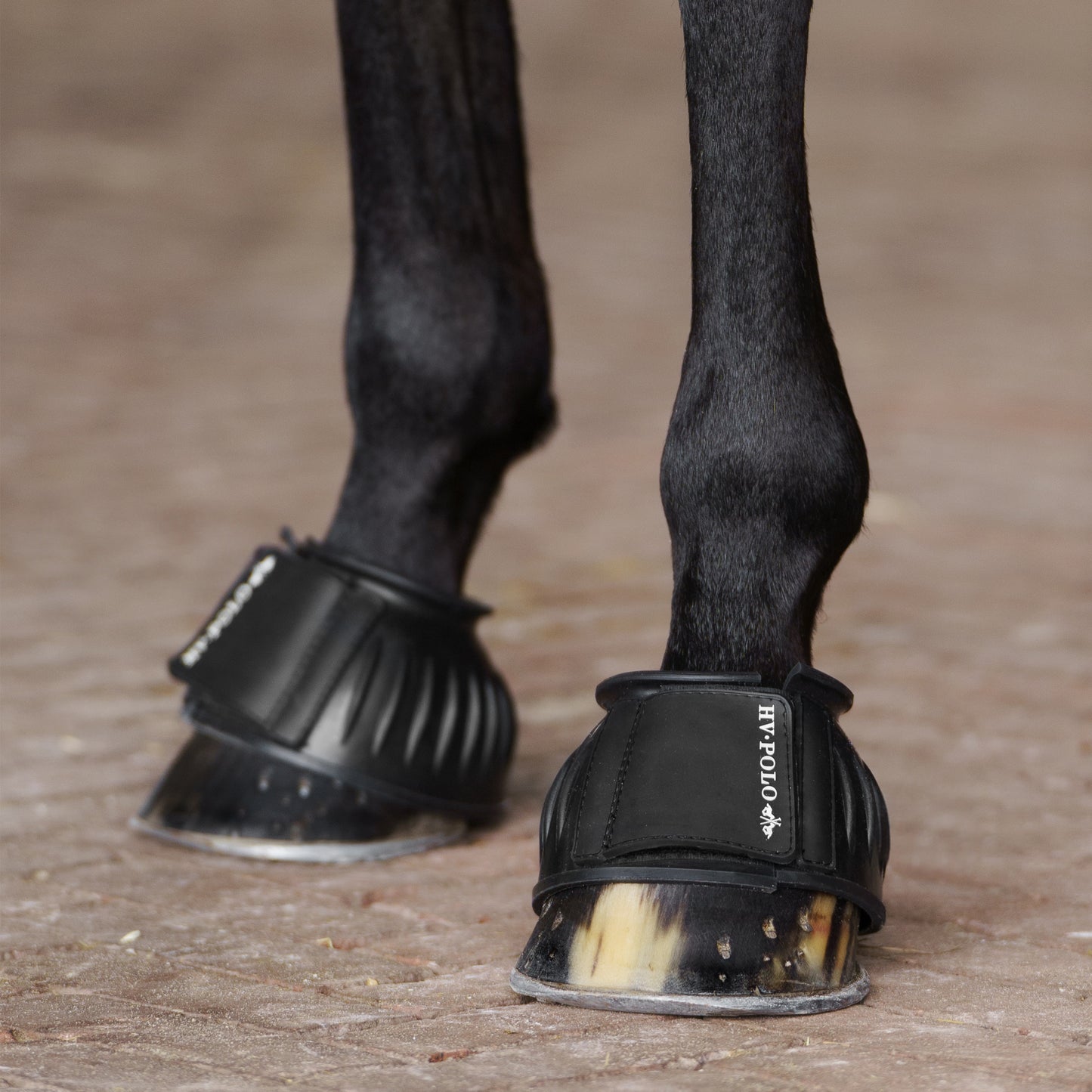 HVPolo Essential Gummiboots - Flera färger