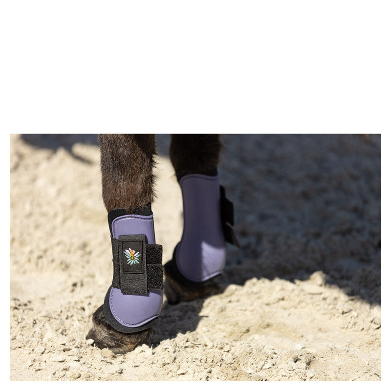 BR Mini Horse Tendon Boots
