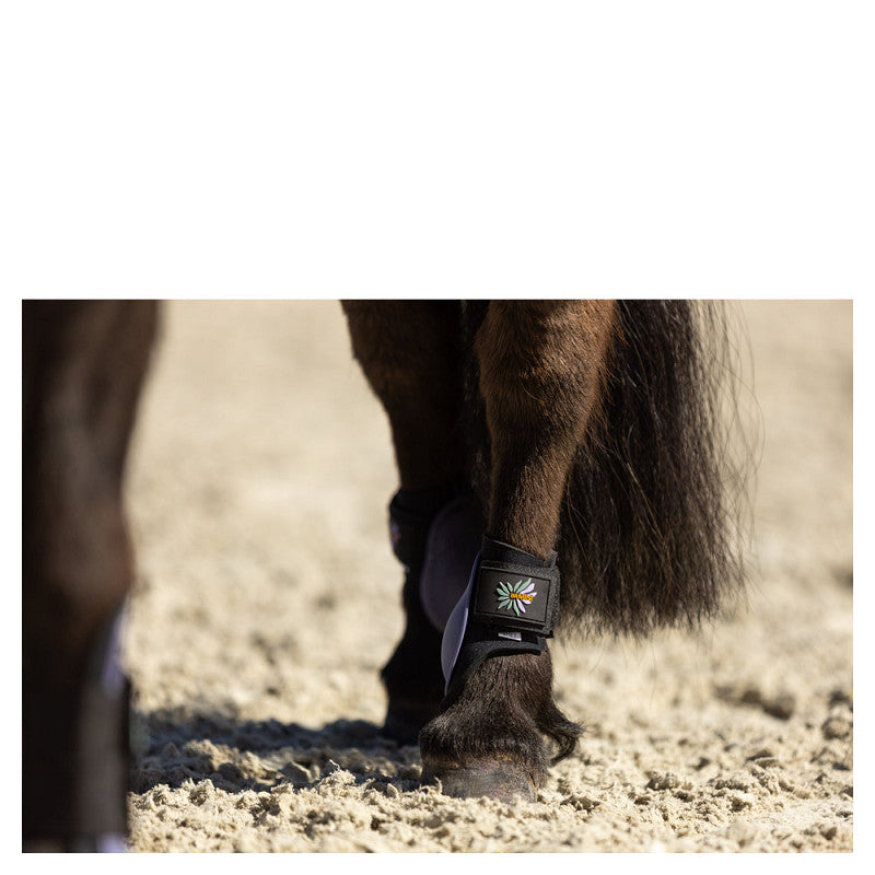 BR Mini Horse Fetlock Boots