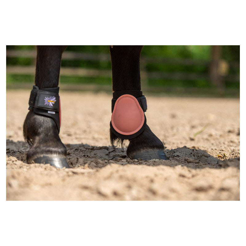 BR Mini Horse Fetlock Boots