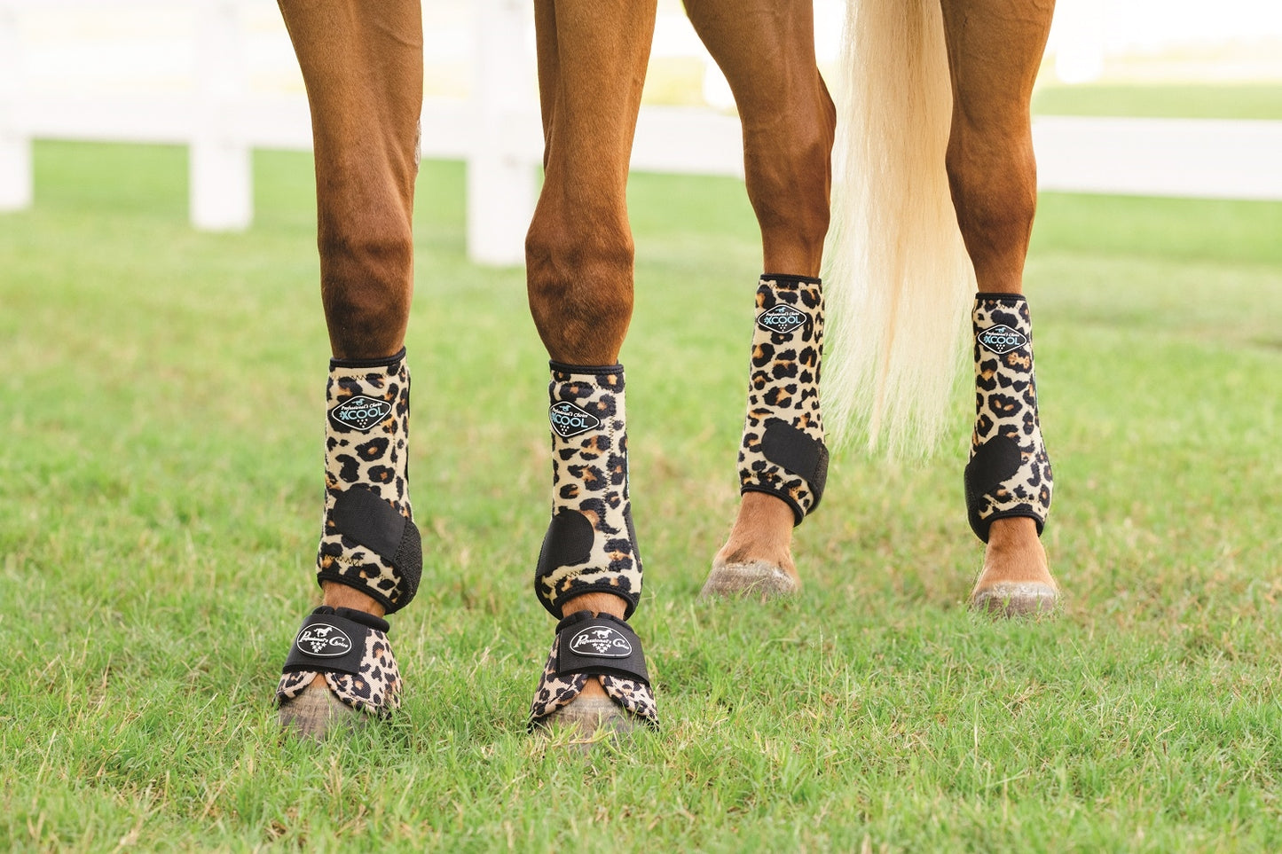 Professional's Choice – 2XCool Sports Medicine Boots - Cheeta, 4-pack