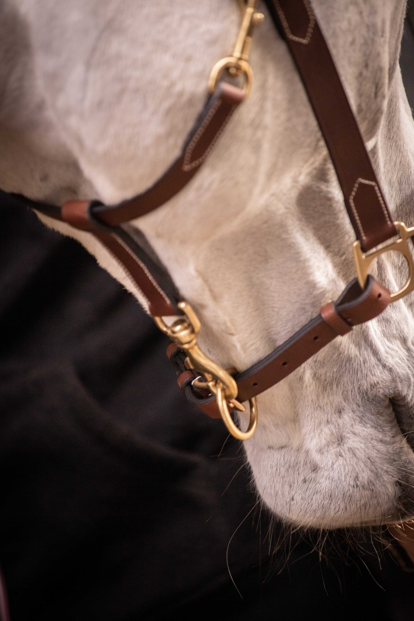 PADDOCK 2-färgad Lädergrimma