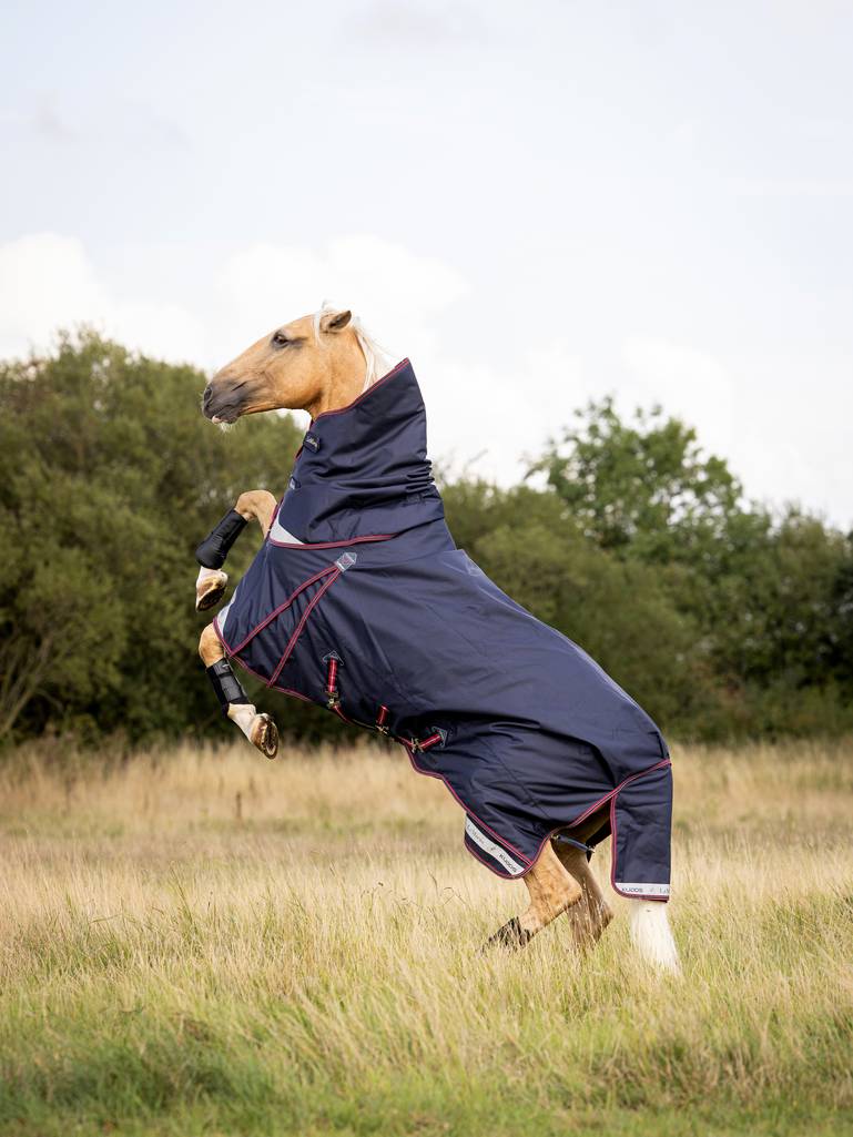 LeMieux LM Kudos Turnout Rug 50g Navy