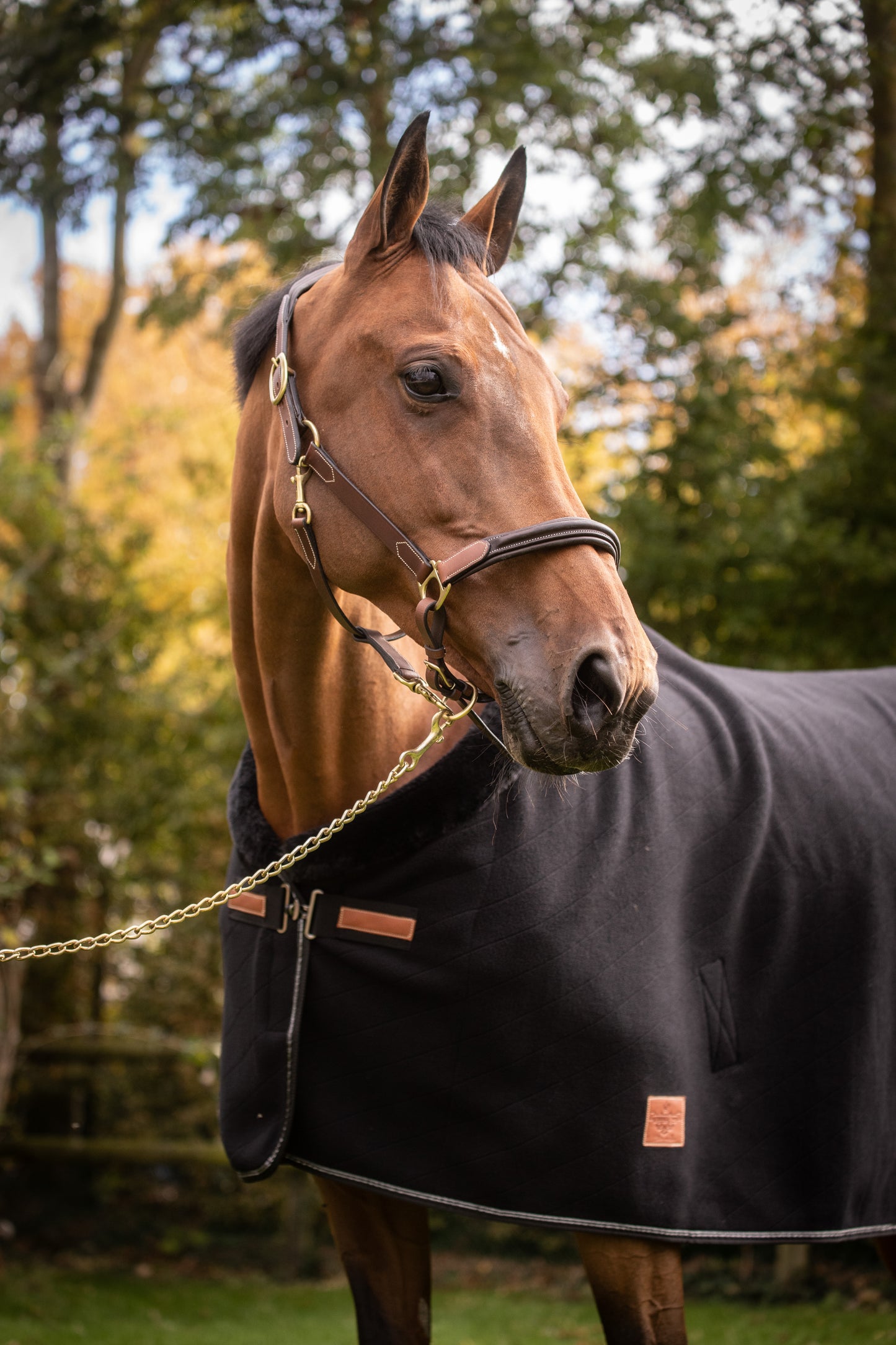 PADDOCK Fleecetäcke "Diagonal"