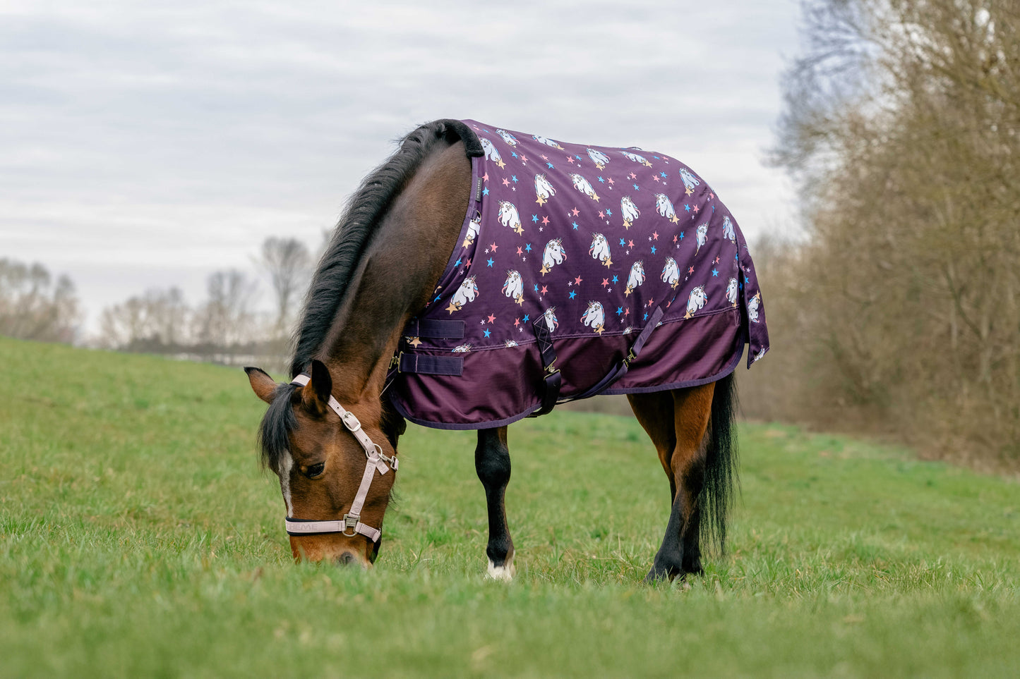 EQUITHÈME Utetäcke "Unicorn", 220g, 600D