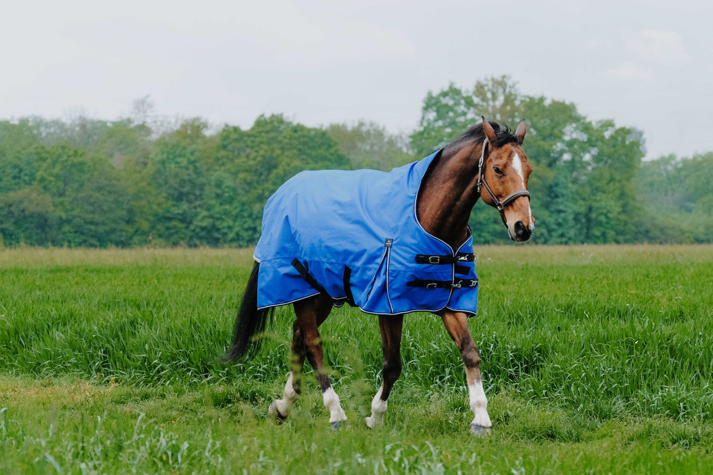 EQUITHÈME - TYREX Aisance 1200D - Halvhals Täcke, 150g