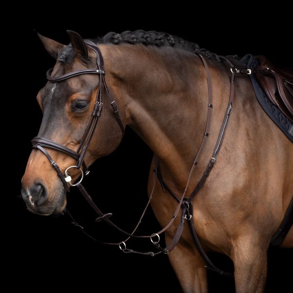 Martingale HVPLegacy