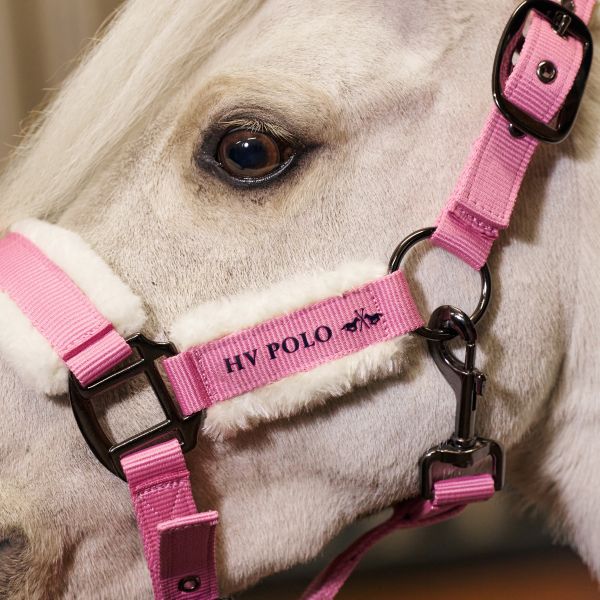 HVPolo Headcollar HVPSacha