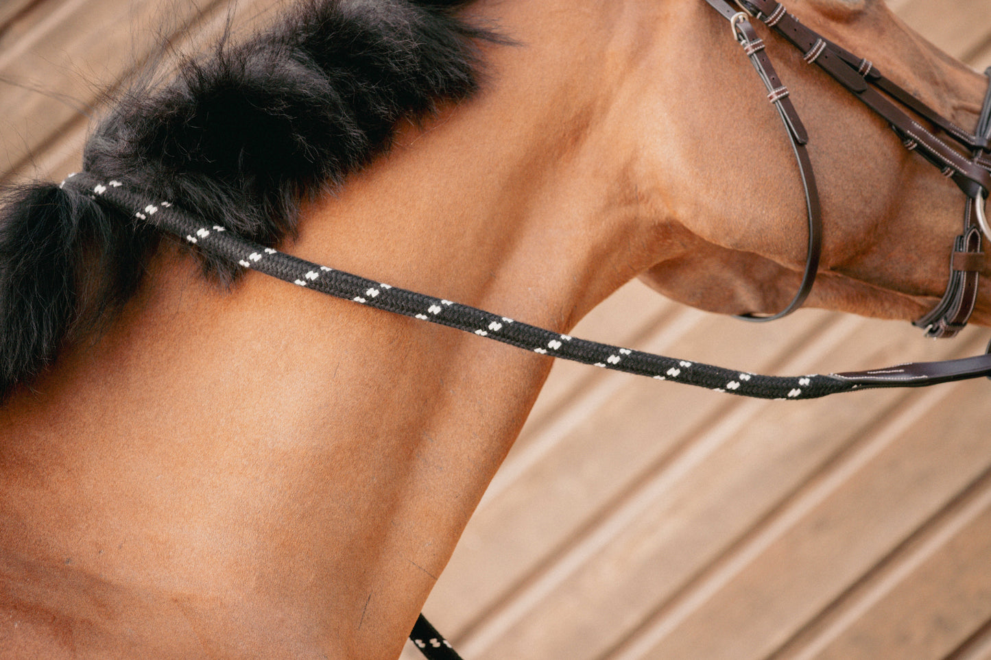 Penelope "Ethological" Lead rope - Arbetsrep