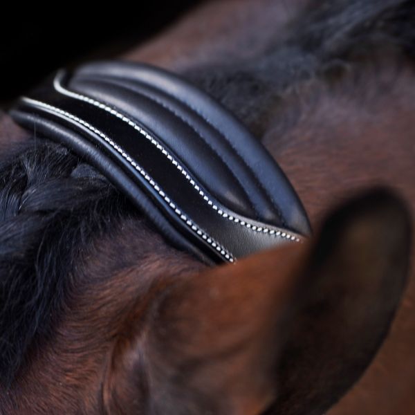 Headcollar HVPLegacy