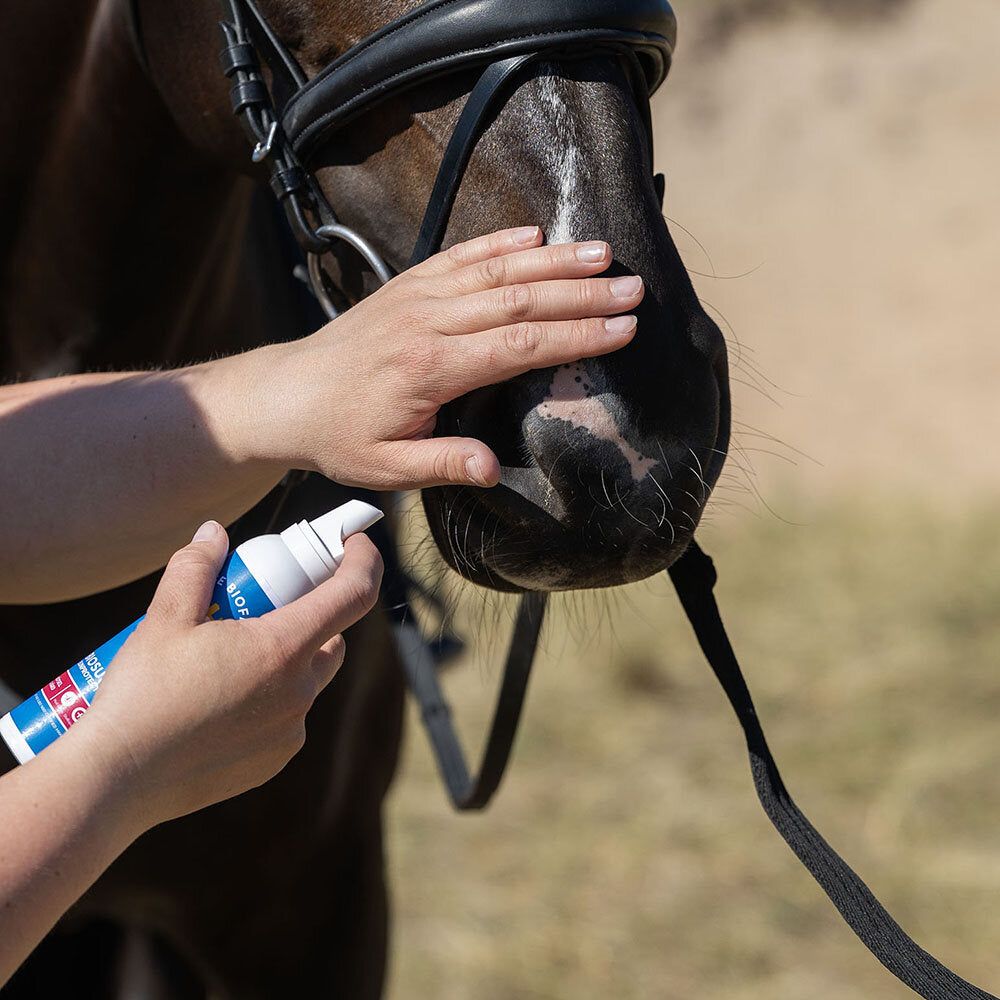 BioSun SPF 50
