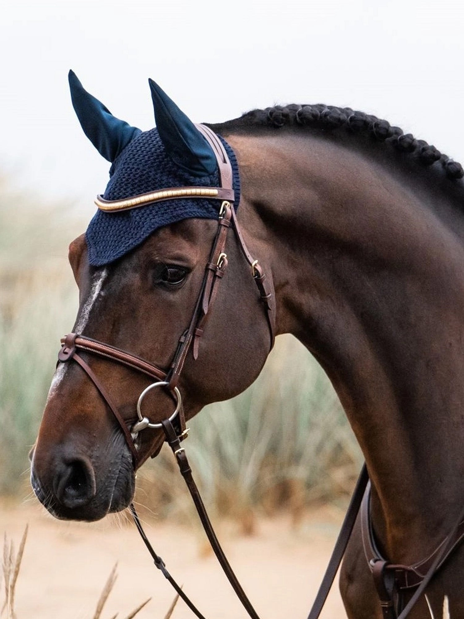 California Aachen Bridle