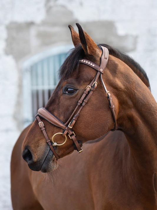 Cleveland Dressage Bridle