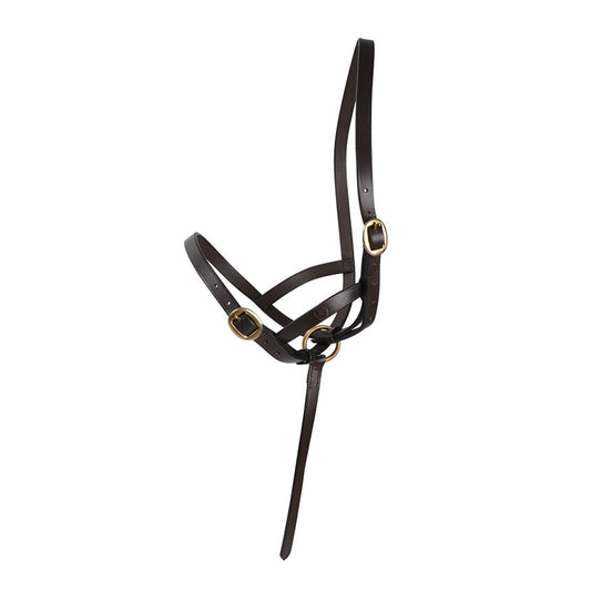 Hansbo fölgrimma i läder