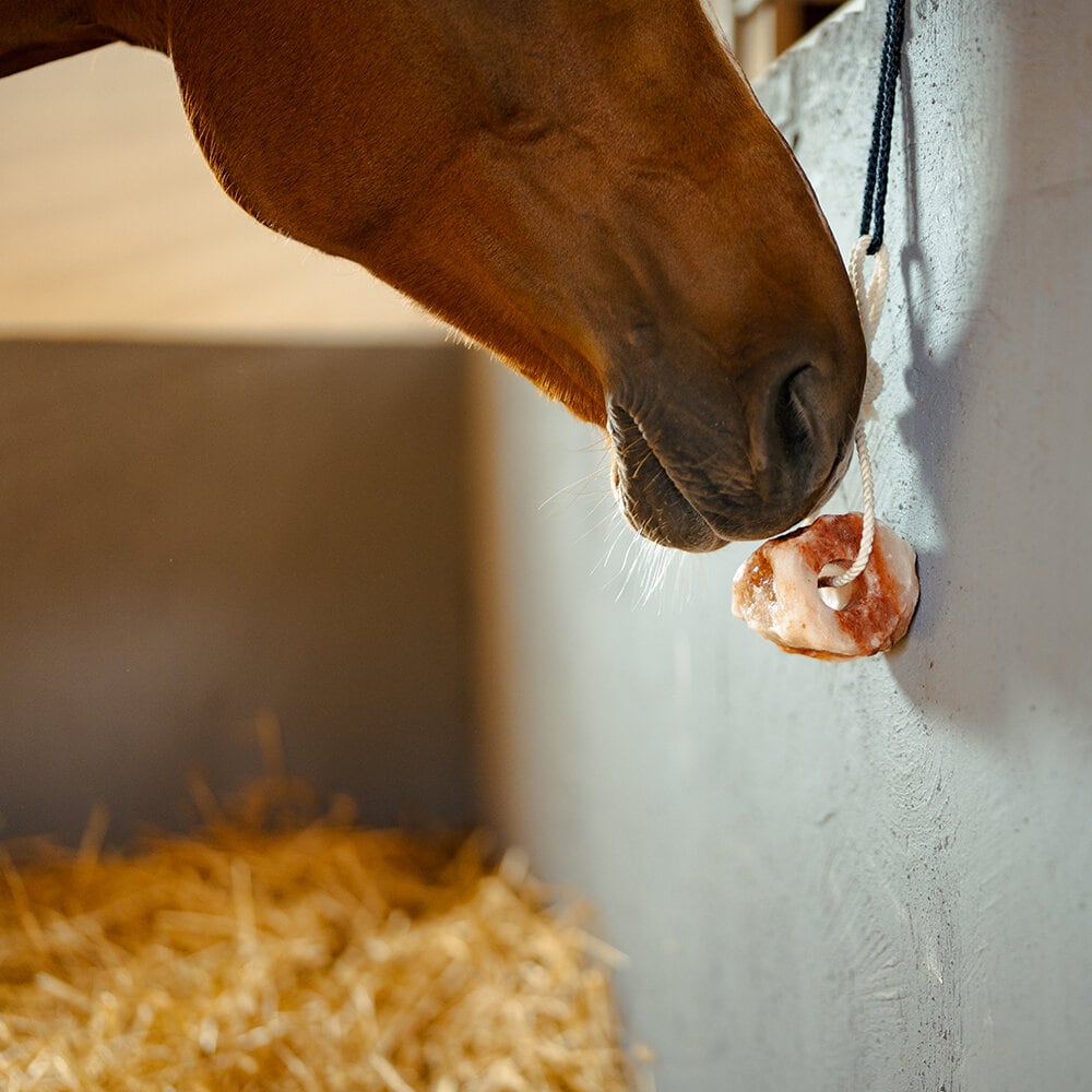 Saltsten Himalaya 1-2 kg