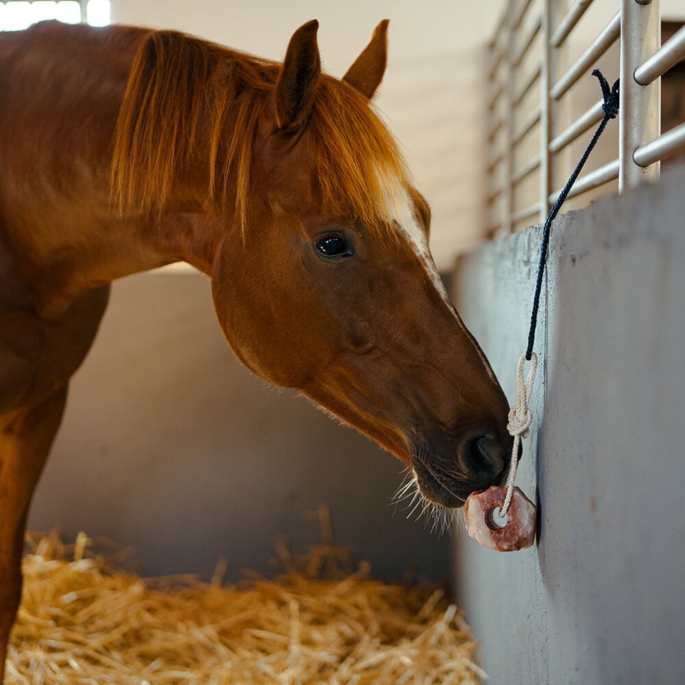 Saltsten Himalaya 1-2 kg