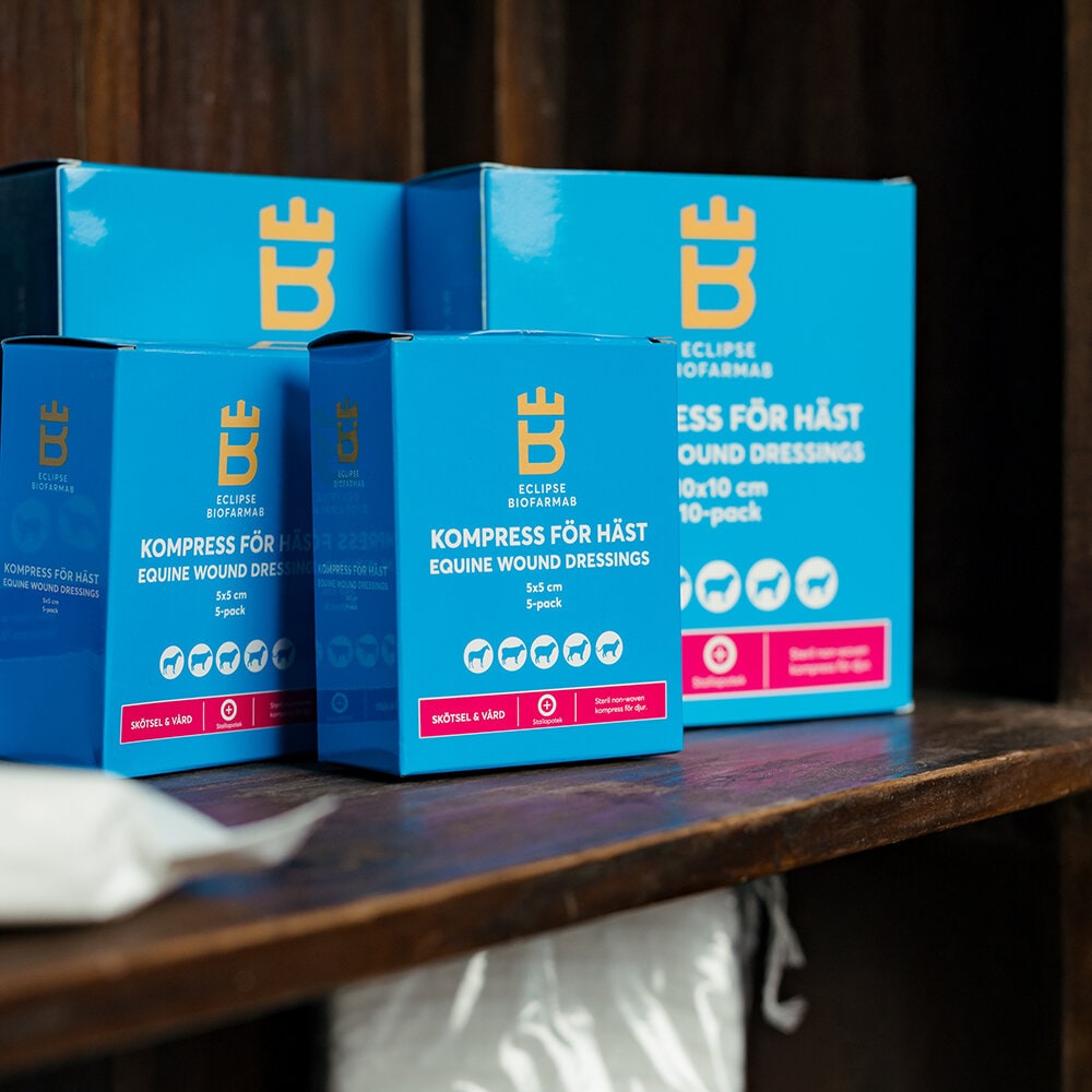 Kompress för häst 5x5 cm 5-pack