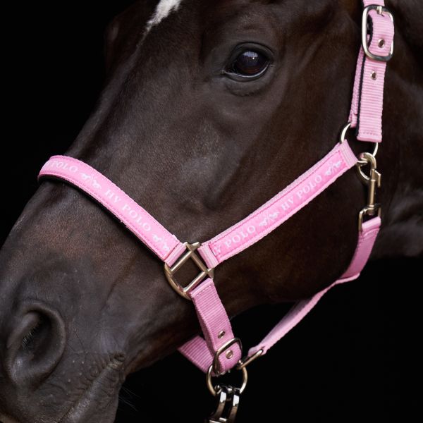 HVPolo Headcollar HVPNena