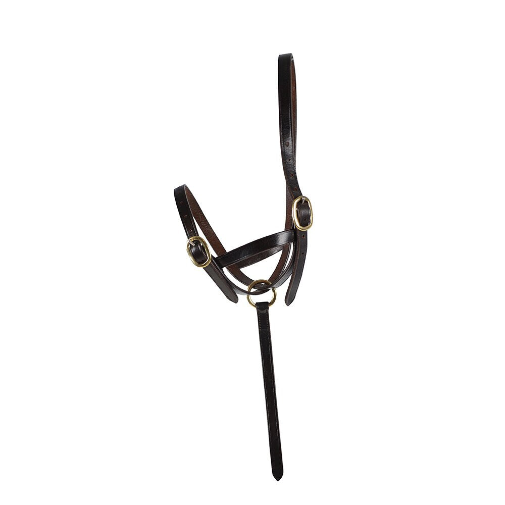 Svart fölgrimma i läder