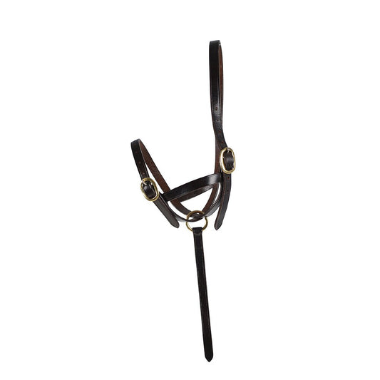 Svart fölgrimma i läder