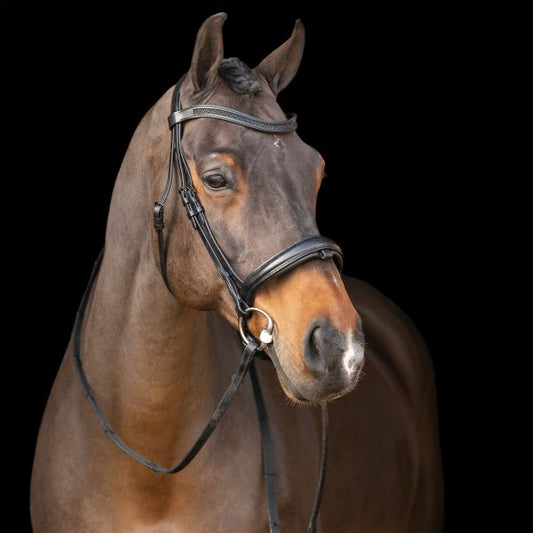 Snaffle bridle with English noseband IRH