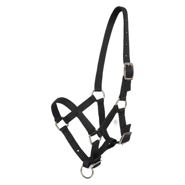 Huvudgrimma föl HVPNena