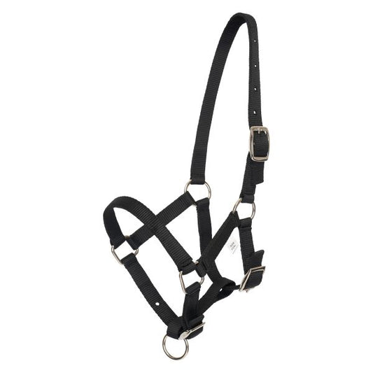 Huvudgrimma föl HVPNena