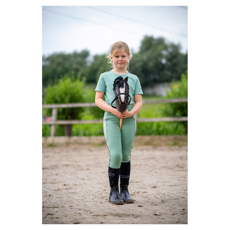 BR Mini Horse Hobby Horse