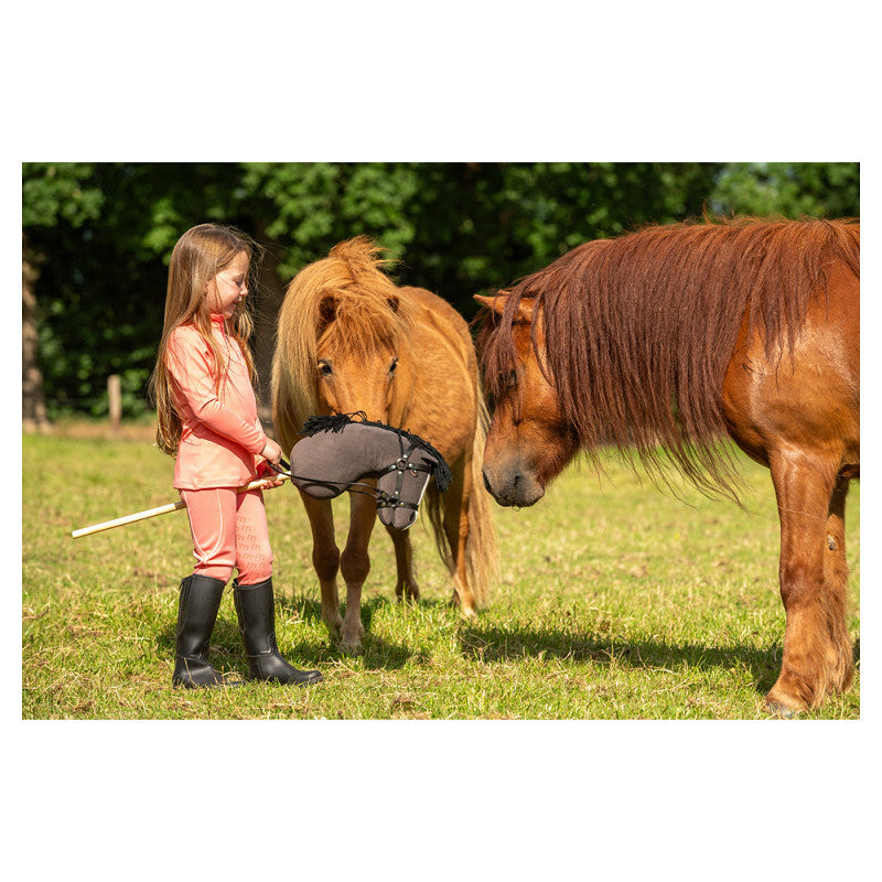 BR Mini Horse Hobby Horse