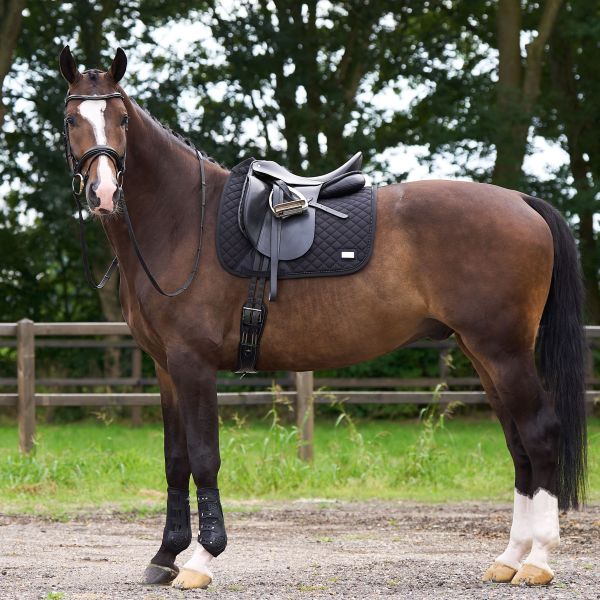 Saddlepad HVPPro performance DR