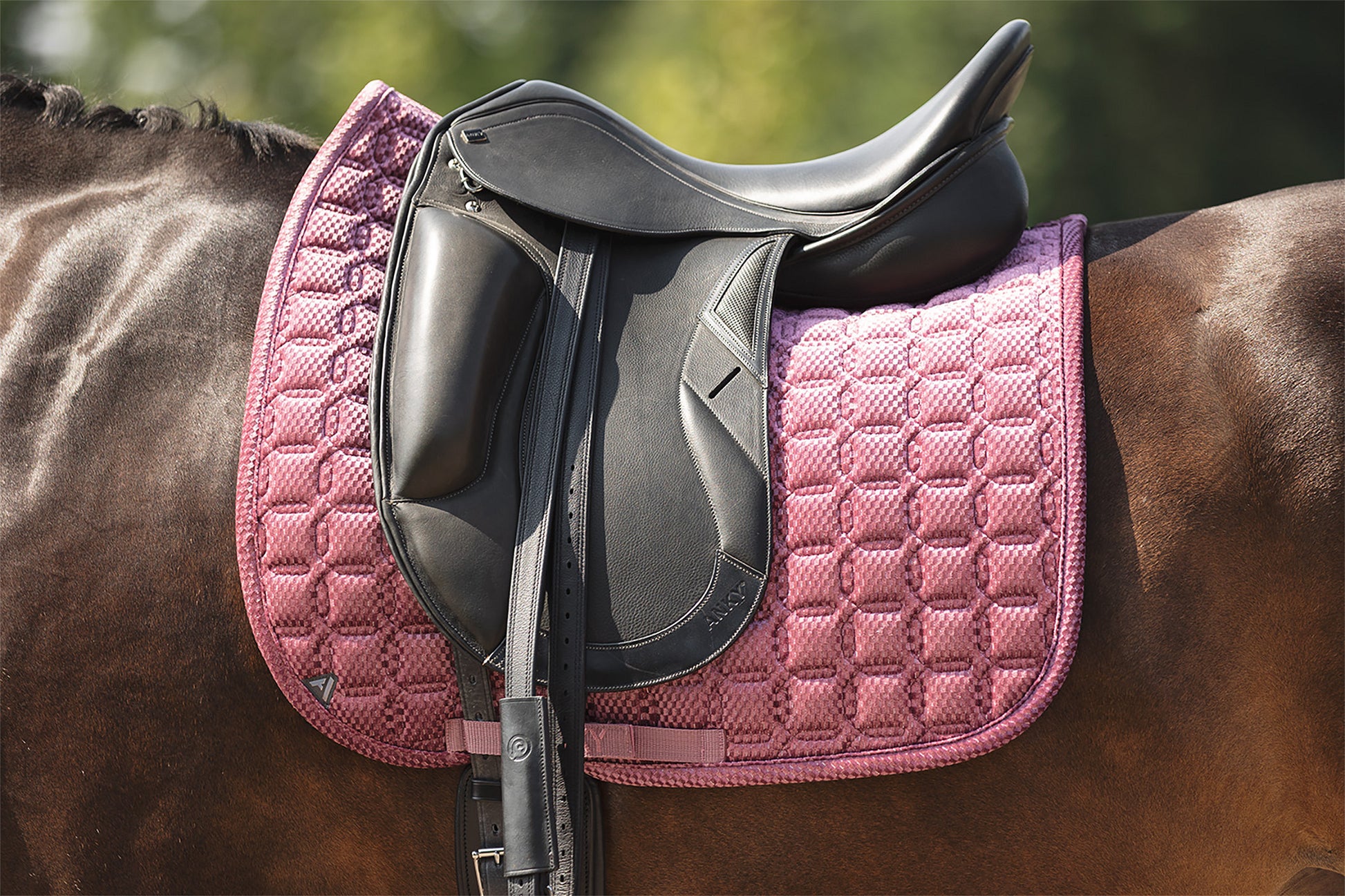 ANKY ANKY® Dressage Pad Check Velvet XB25003