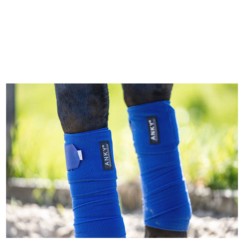 LeMieux ANKY® Bandages ATB001